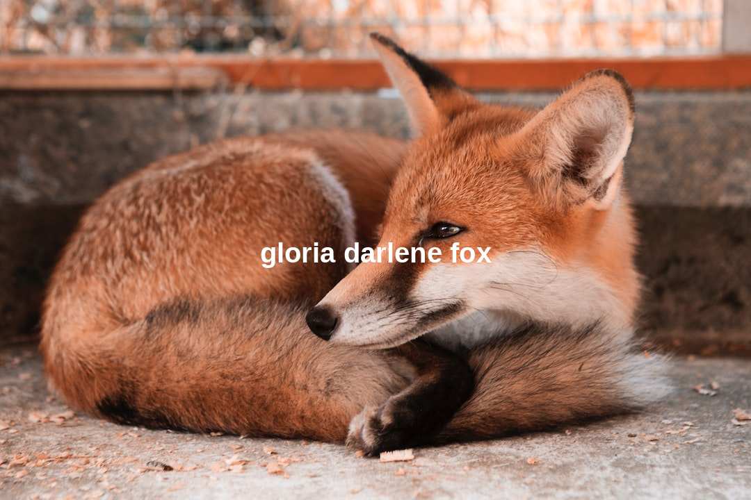 gloria darlene fox
