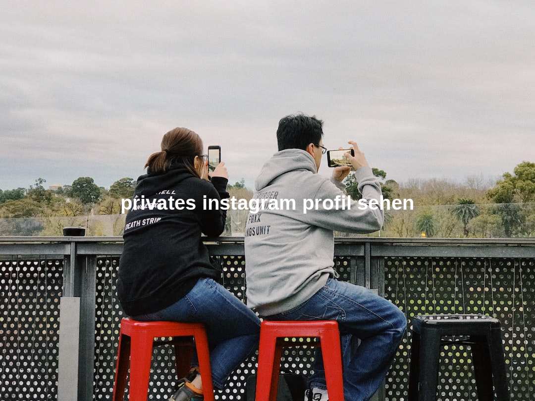 privates instagram profil sehen