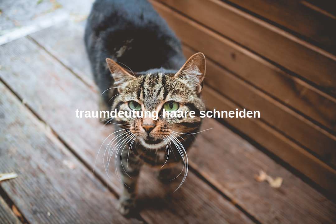 traumdeutung haare schneiden